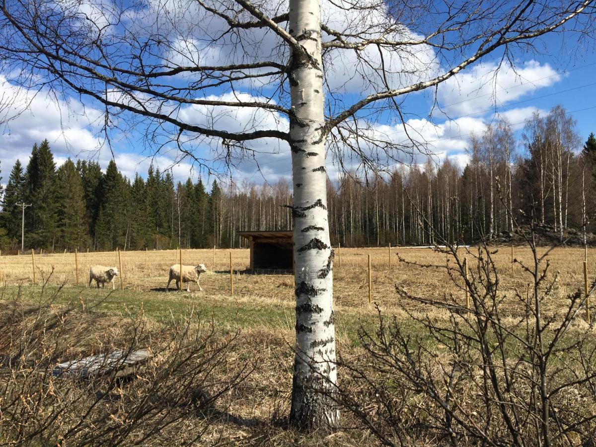 Kivirannan Tupa Villa Ylivieska Exterior photo